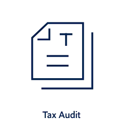 Tax Audit